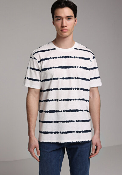 Image de T-shirt À Manches Courtes Bleu Regular Fit Rayé Homme