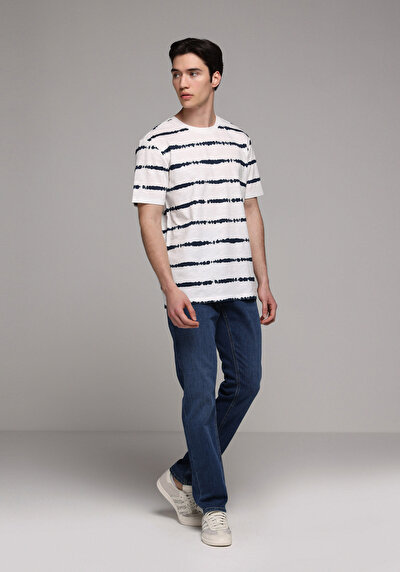 Image de T-shirt À Manches Courtes Bleu Regular Fit Rayé Homme