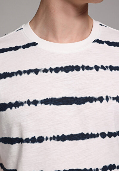 Image de T-shirt À Manches Courtes Bleu Regular Fit Rayé Homme