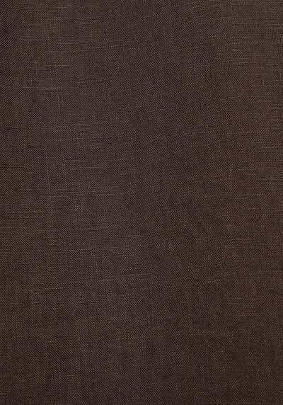 Afficher les détails de Chemise À Manches Longues Marron Regular Fit Droit Lin Homme