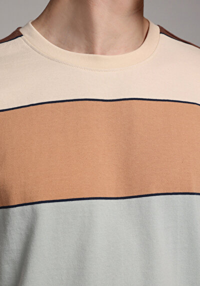 Image de T-shirt À Manches Courtes Corail Regular Fit Rayé Homme