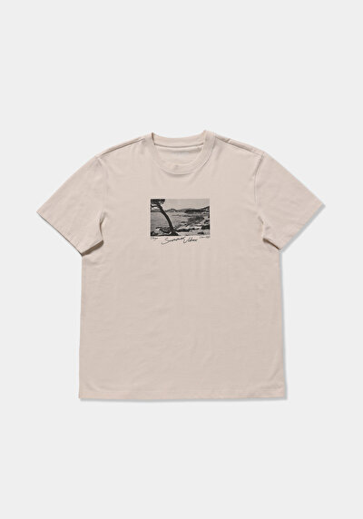 Image de T-shirt À Manches Courtes Beige Regular Fit Droit Homme