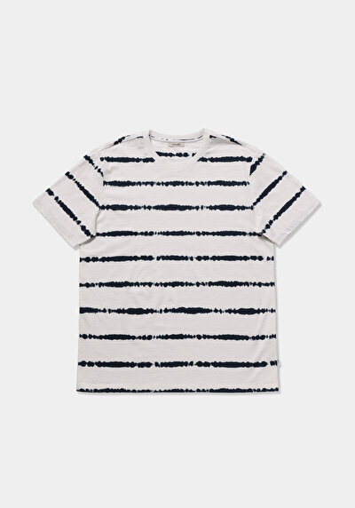 Image de T-shirt À Manches Courtes Bleu Regular Fit Rayé Homme