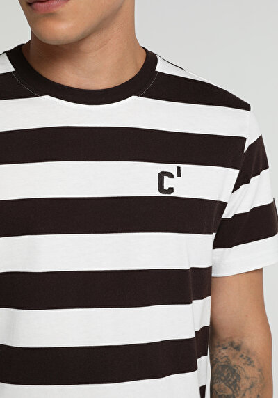 Image de T-shirt À Manches Courtes Marron Regular Fit Rayé Homme