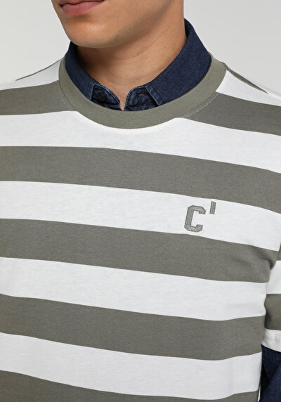 Image de T-shirt À Manches Courtes Blanc Regular Fit Rayé Homme