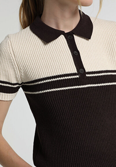 Image de Tricot Marron Slim Fit  Femme