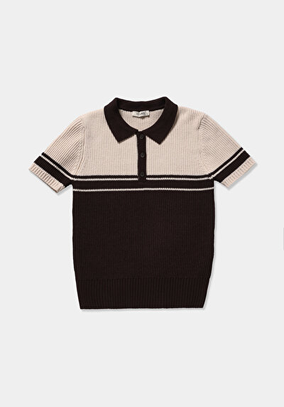 Image de Tricot Marron Slim Fit  Femme