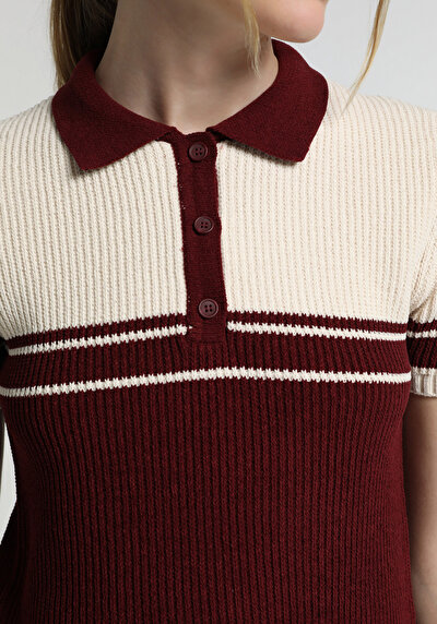 Image de Tricot Bordeaux Slim Fit  Femme