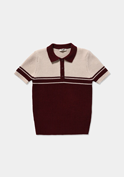 Image de Tricot Bordeaux Slim Fit  Femme
