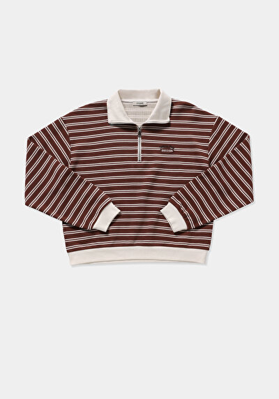 Image de Pull-over Marron Regular Fit  Femme