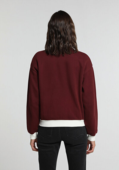 Image de Pull-over Bordeaux Regular Fit Femme