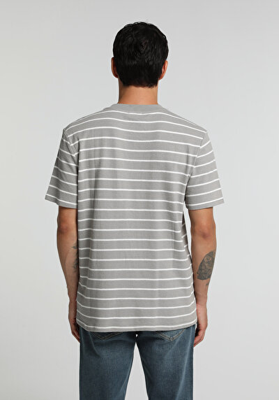 Image de T-shirt À Manches Courtes Gris Regular Fit Rayé Homme