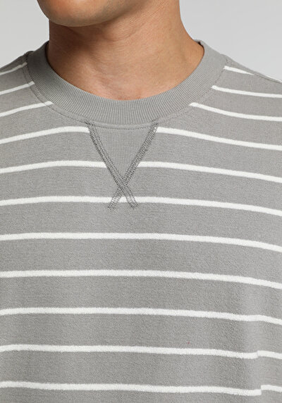 Image de T-shirt À Manches Courtes Gris Regular Fit Rayé Homme