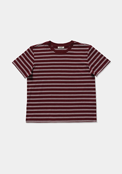 Image de T-shirt À Manches Courtes Bordeaux Regular Fit Rayé Femme