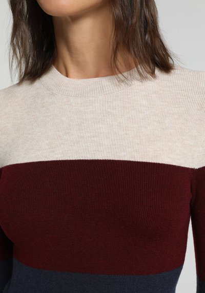 Image de Pull Multicolou Slim Fit Manches Longues Femme