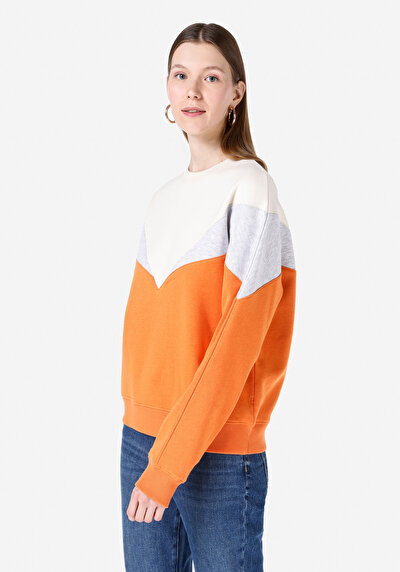 Image de Pull-over Multicolou Regular Fit  Femme