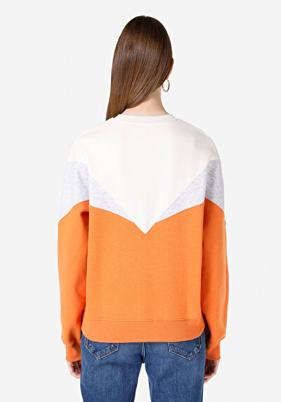 Image de Pull-over Multicolou Regular Fit  Femme