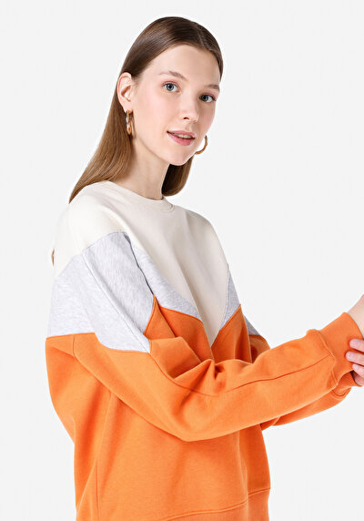 Image de Pull-over Multicolou Regular Fit  Femme