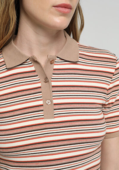Image de Multicolou Slim Fit Rayé Côtelé Femme