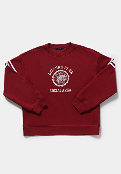 Image de Pull-over Rouge Regular Fit  Femme