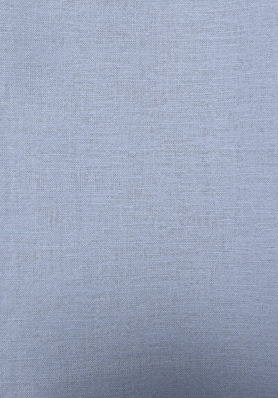 Image de Chemise À Manches Longues Bleu Regular Fit Droit Lin Homme