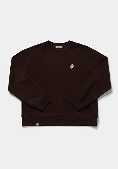 Image de Pull-over Marron Regular Fit  Femme