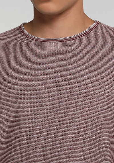 Image de Pull Violet Regular Fit Manches Longues  Homme