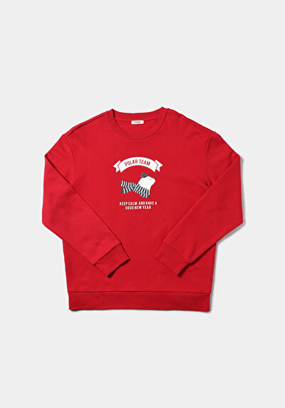 Image de Pull-over Rouge Comfort Fit  Homme