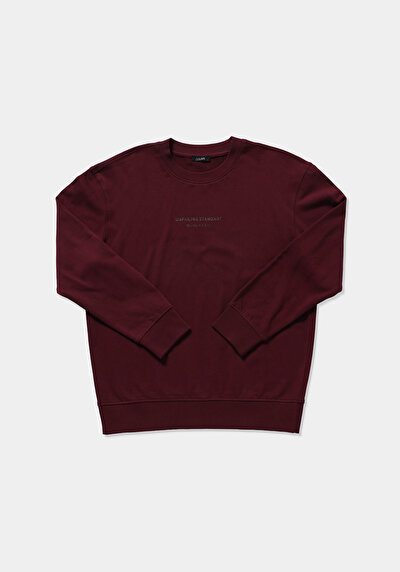 Image de Sweatshirt Violet Relaxed Fit  Homme