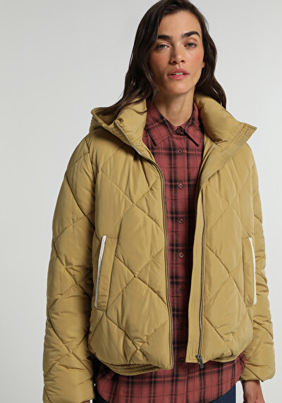 Image de Veste Marron Regular Fit Manches Longues  Matelassé Femme
