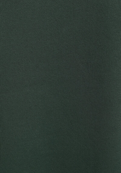 Image de Pull-over Vert Regular Fit  Femme