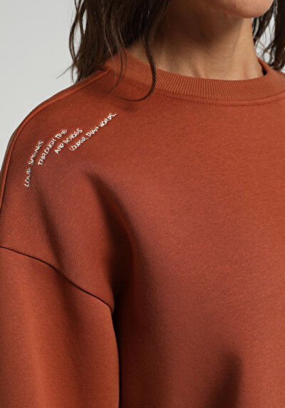 Image de Pull-over Marron Regular Fit  Femme