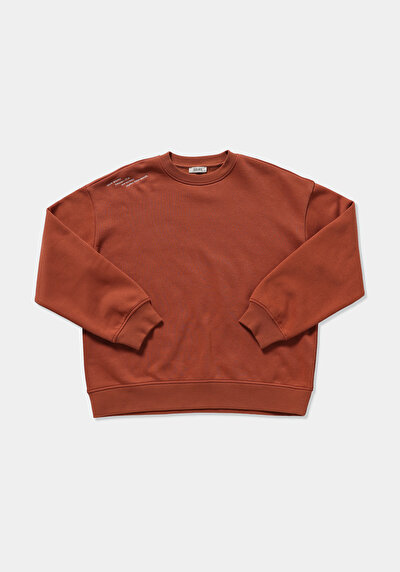 Image de Pull-over Marron Regular Fit  Femme