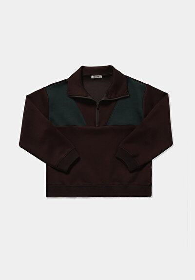 Image de Pull-over Marron Regular Fit  Femme