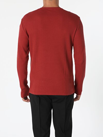 Image de T-shirt À Manches Longues Marron Regular Fit  Homme