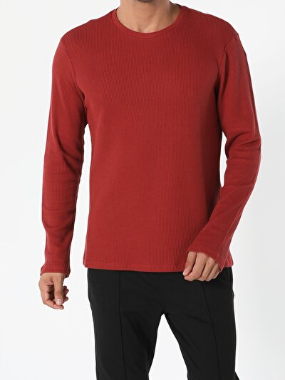 Image de T-shirt À Manches Longues Marron Regular Fit  Homme