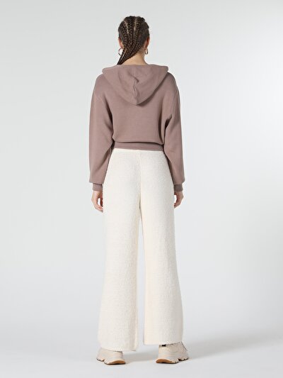 Image de Pull Marron Regular Fit   Femme