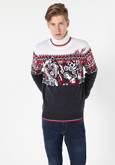 Image de Pull Marine Regular Fit   Homme