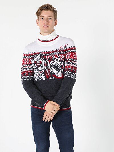 Image de Pull Marine Regular Fit   Homme