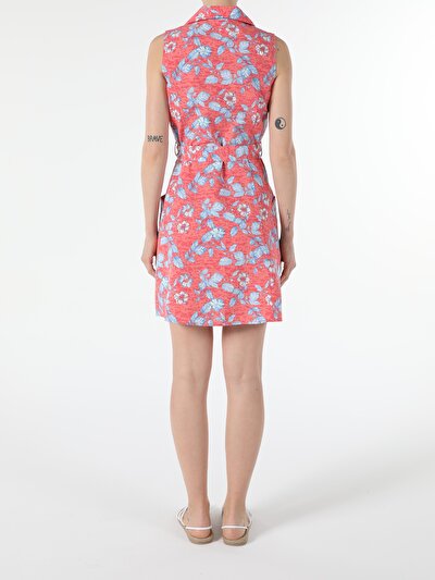 Image de Robe Corail Regular Fit Femme