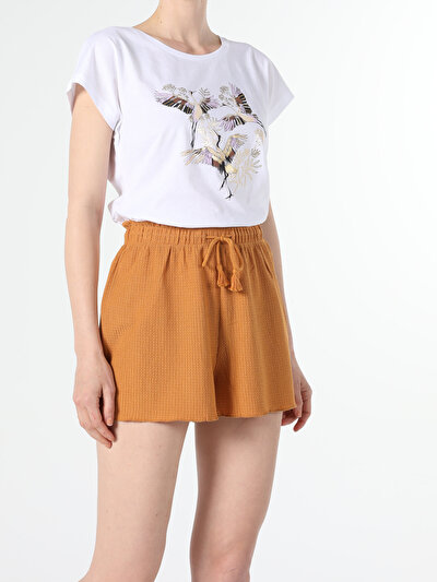Image de T-shirt À Manches Courtes Blanc Regular Fit  Femme