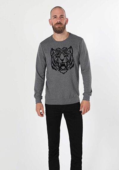 Image de Pull-over Anthracite Regular Fit  Homme