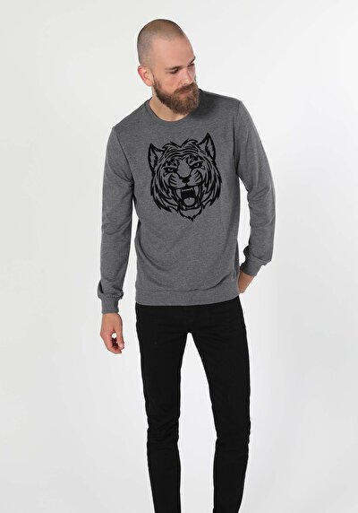Image de Pull-over Anthracite Regular Fit  Homme