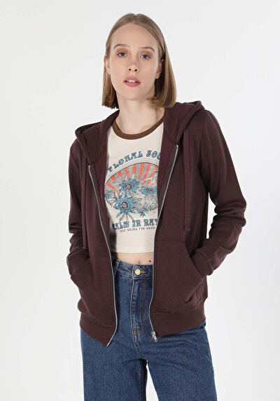Image de Pull-over Marron Regular Fit Femme