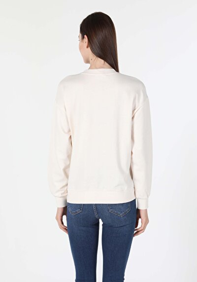 Image de Pull-over Beige Regular Fit  Femme
