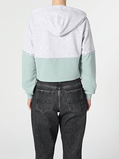 Image de Pull-over Gris Slim Fit  Femme