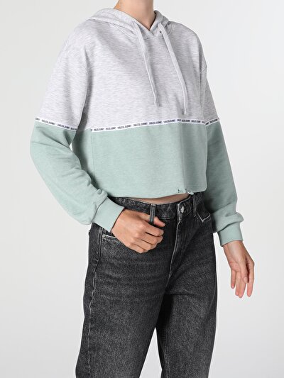 Image de Pull-over Gris Slim Fit  Femme