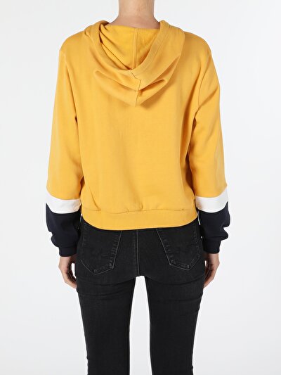 Afficher les détails de Pull-over Jaune Regular Fit  Femme
