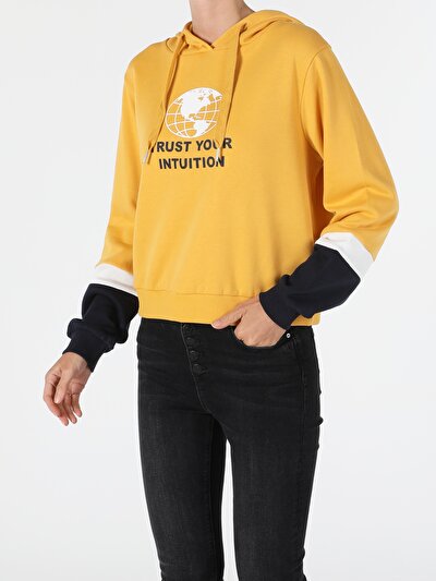 Afficher les détails de Pull-over Jaune Regular Fit  Femme
