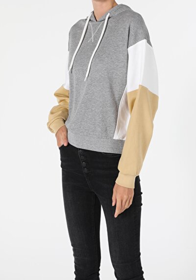 Image de Pull-over Gris Regular Fit  Femme